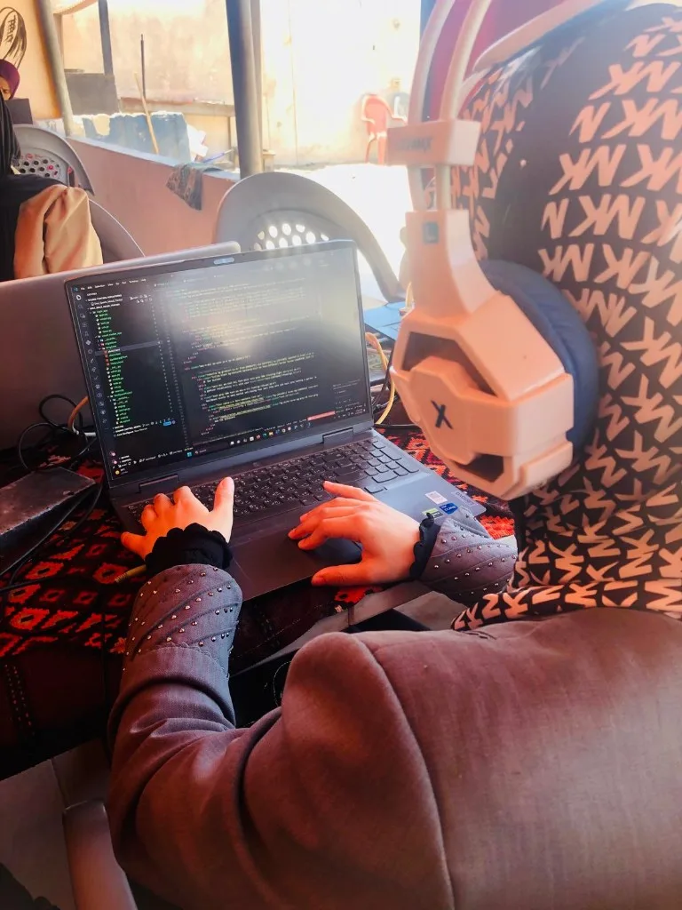 Software development